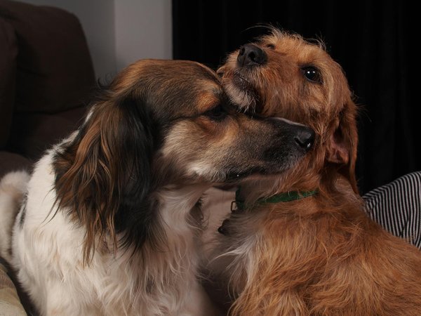 What are the Best Tips for Styling a Slip Dress in Cooler Weather?