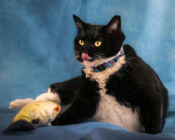 How to Efficiently Manage Energy Consumption in Large Real Estate Portfolios?